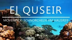 el-quseir-schnorcheln-mövenpick-hausriff